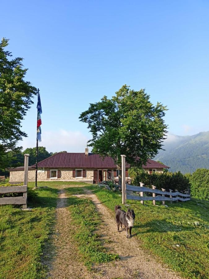 Rifugio Baita Fos-Ce เบรนโตนิโก ภายนอก รูปภาพ