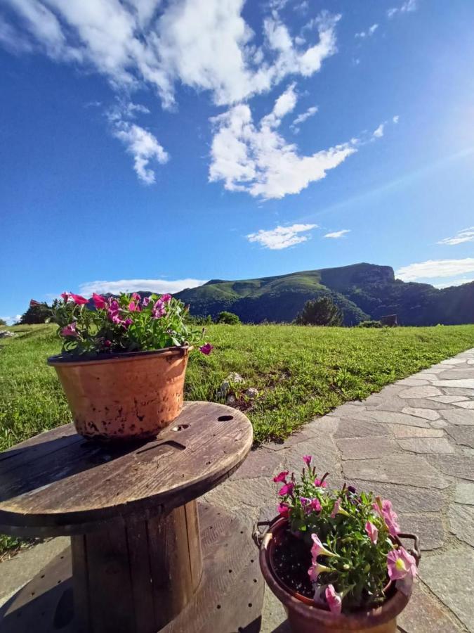 Rifugio Baita Fos-Ce เบรนโตนิโก ภายนอก รูปภาพ