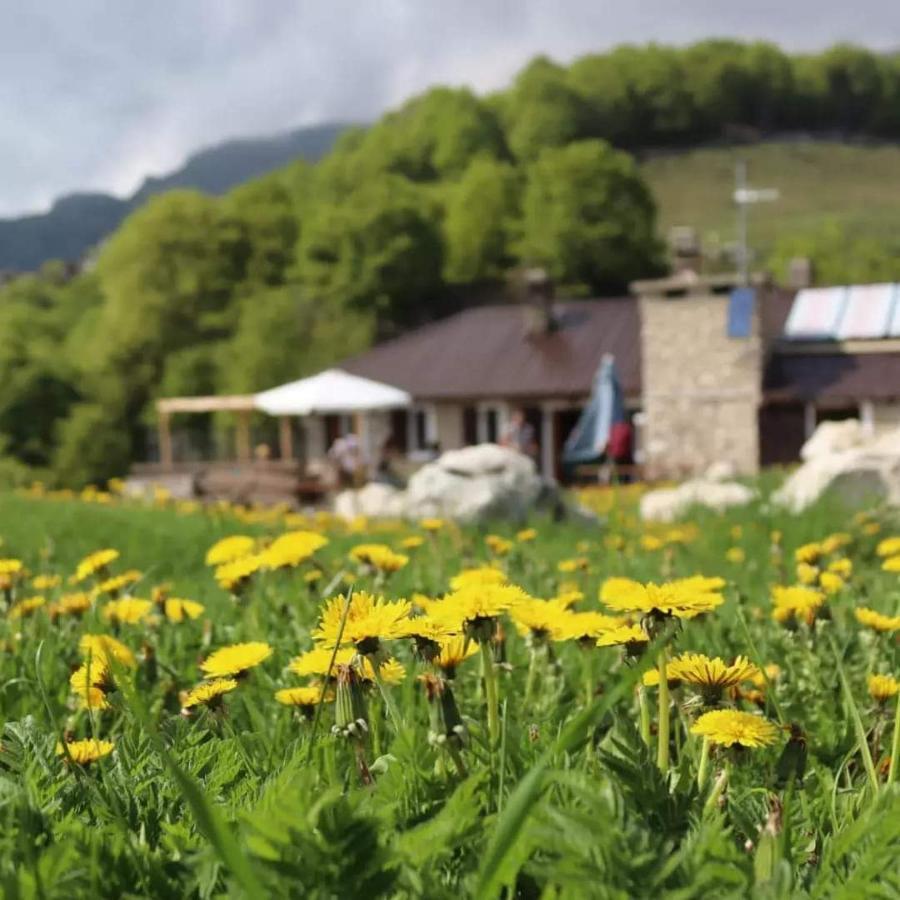 Rifugio Baita Fos-Ce เบรนโตนิโก ภายนอก รูปภาพ
